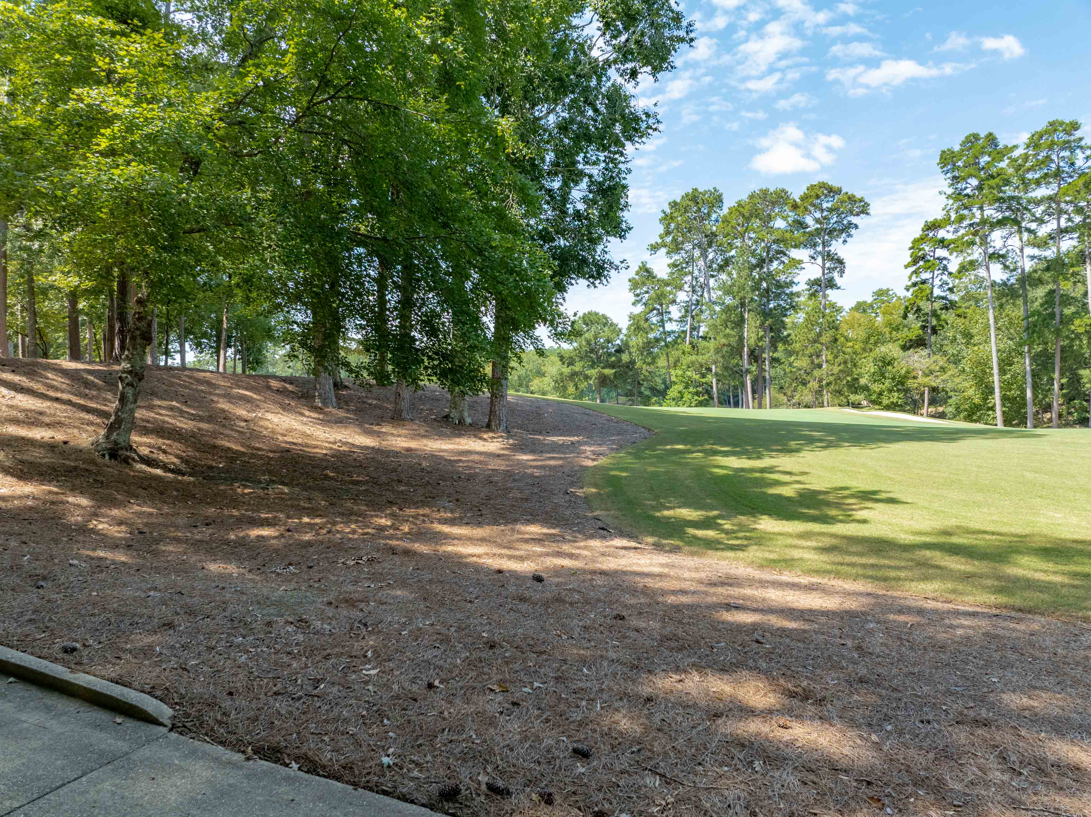 1021 Branson Bluff image 11